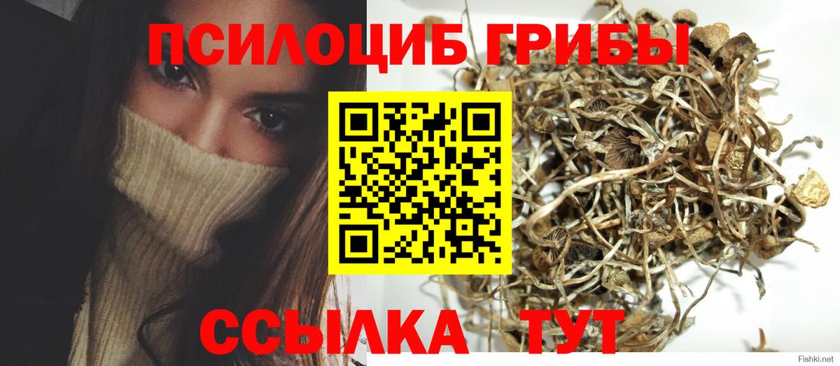Псилоцибиновые грибы мухоморы Ипатово