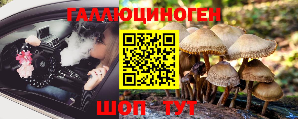 Галлюциногенные грибы Cubensis  Вход с VPN  Ипатово 